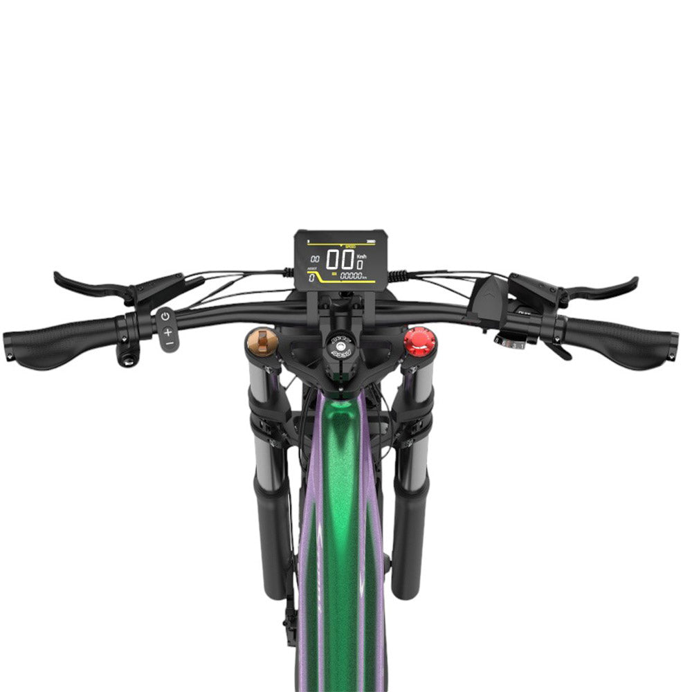 DUOTTS E26 Electric Bike, Bafang 750W Motor Torgue Sensor SAMSUNG 48V 20Ah Battery, 26*4.0 inch Tires, 55km/h Max Speed, 120km Max Range, TEKTRO Hydraulic Disc Brakes, Front and Rear Suspension, Shimano 8-speed - Green Purple