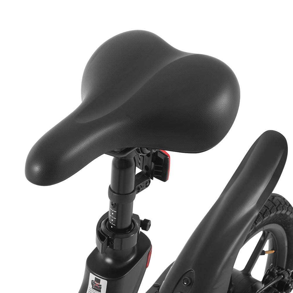 DYU A16 Electric Bike, 250W Motor, 36V 10Ah Battery, 16-inch Tire, 25km/h Max Speed, 55km Range, Dual Disc Brakes - Black