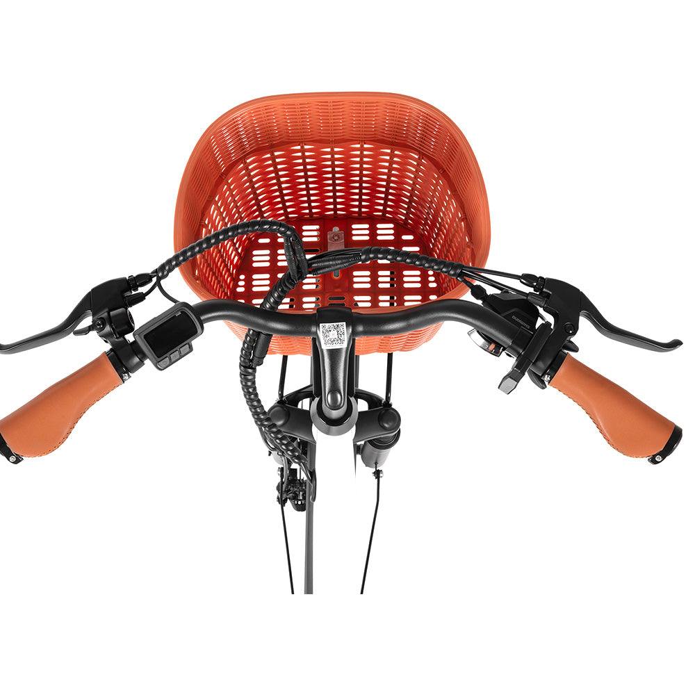 DYU C6 Pro Electric Bike, 250W Motor, 36V 15.6Ah Battery, 26*2.125-inch Tire, 25km/h Max Speed, 80km Range, Disc Brake, Front Fork Suspension, Shimano 7-speed, LED Display - White