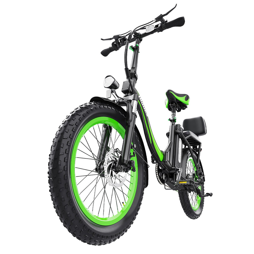 Hidoes C1 Electric Bike with Rear Seat, 750W Motor, 48V 13Ah Battery, 20*3.0 inch Fat Tire, 40km/h Max Speed, 70km Range, Front & Rear Disc Brake - Green