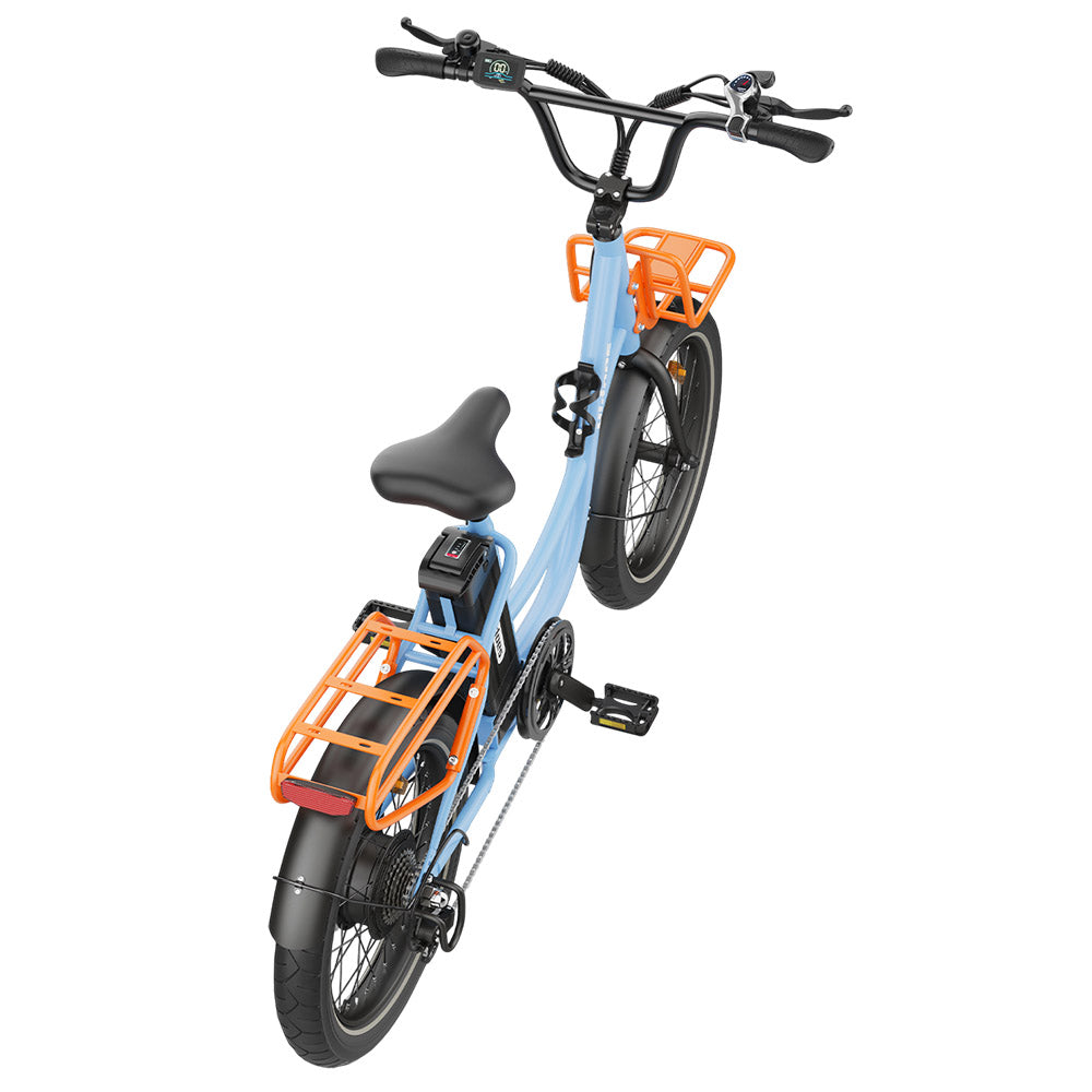 Hidoes C6 Electric Bike, 250W Motor, 36V 13Ah Battery, 20*3 inch Tires, 25km/h Max Speed, 35km Range, Front & Rear Mechanical Disc Brakes, Shimano 7-speed, LCD Display