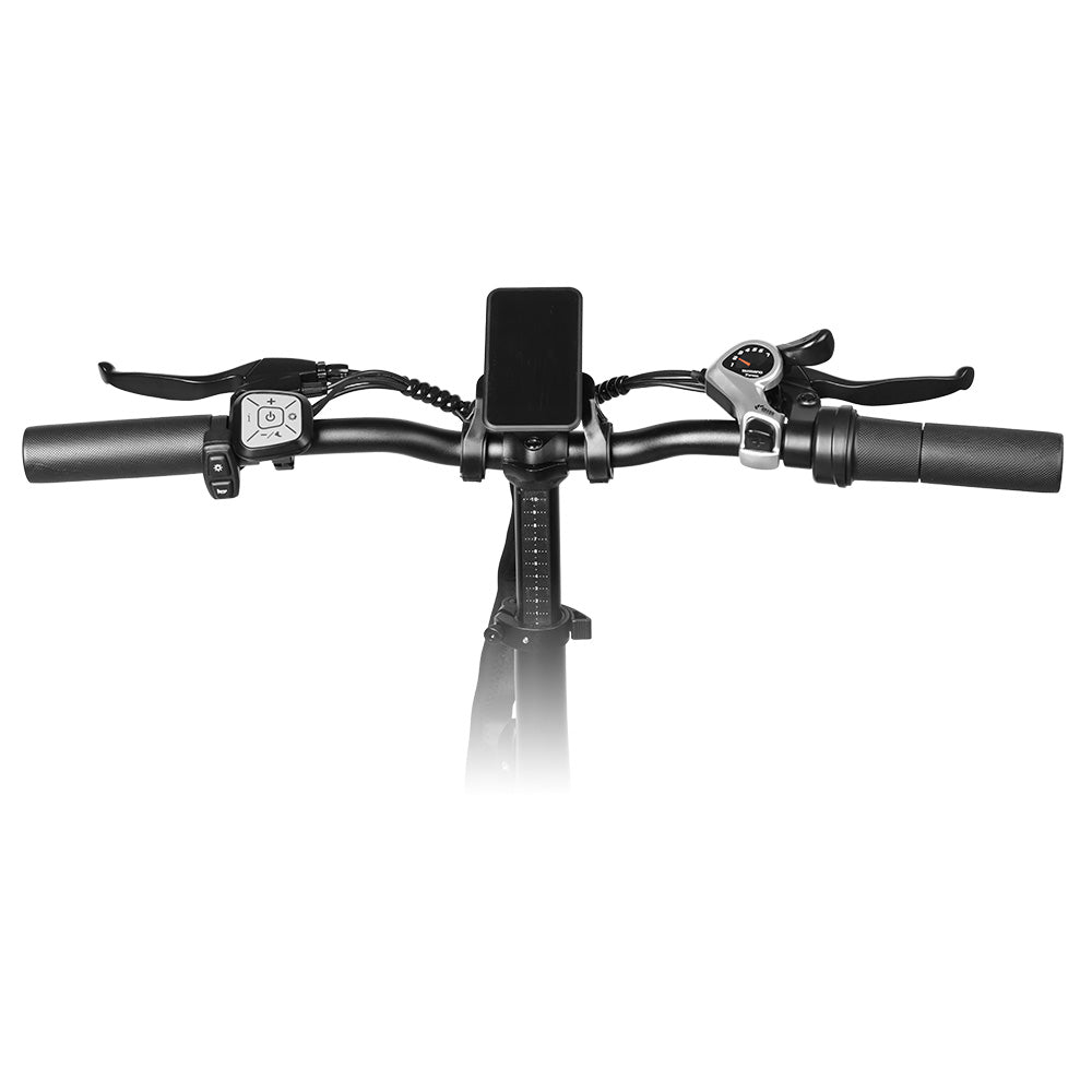 LAIFOOK Cityfun S Electric Bike, 250W Brushless Motor, 48V 14Ah Battery, 20 x 4.0 Inch Fat Tires, 25km/h Max Speed, 70km Range, Mechanical Disc Brake, Shimano 7 Speed, LCD Display - Black