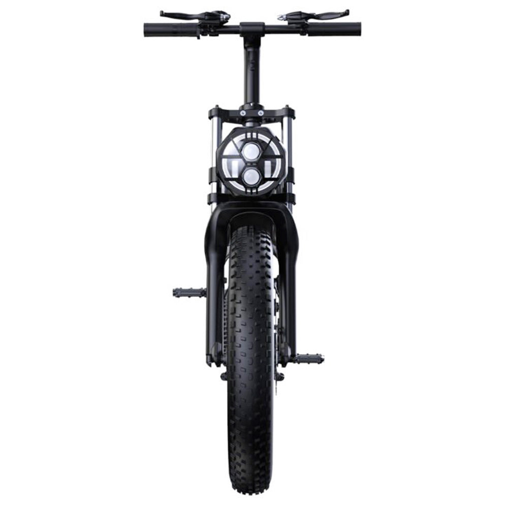 PHNHOLUN C8 Electric Bike, 1500W Peak Motor, 48V 20Ah Battery, 20*4.0-inch Fat Tires, 50km/h Max Speed, 120km Max Range, Front Hydraulic Shock, Rear Air Shock Suspension, Shimano 7 Speed, Disc Brake, APP Control