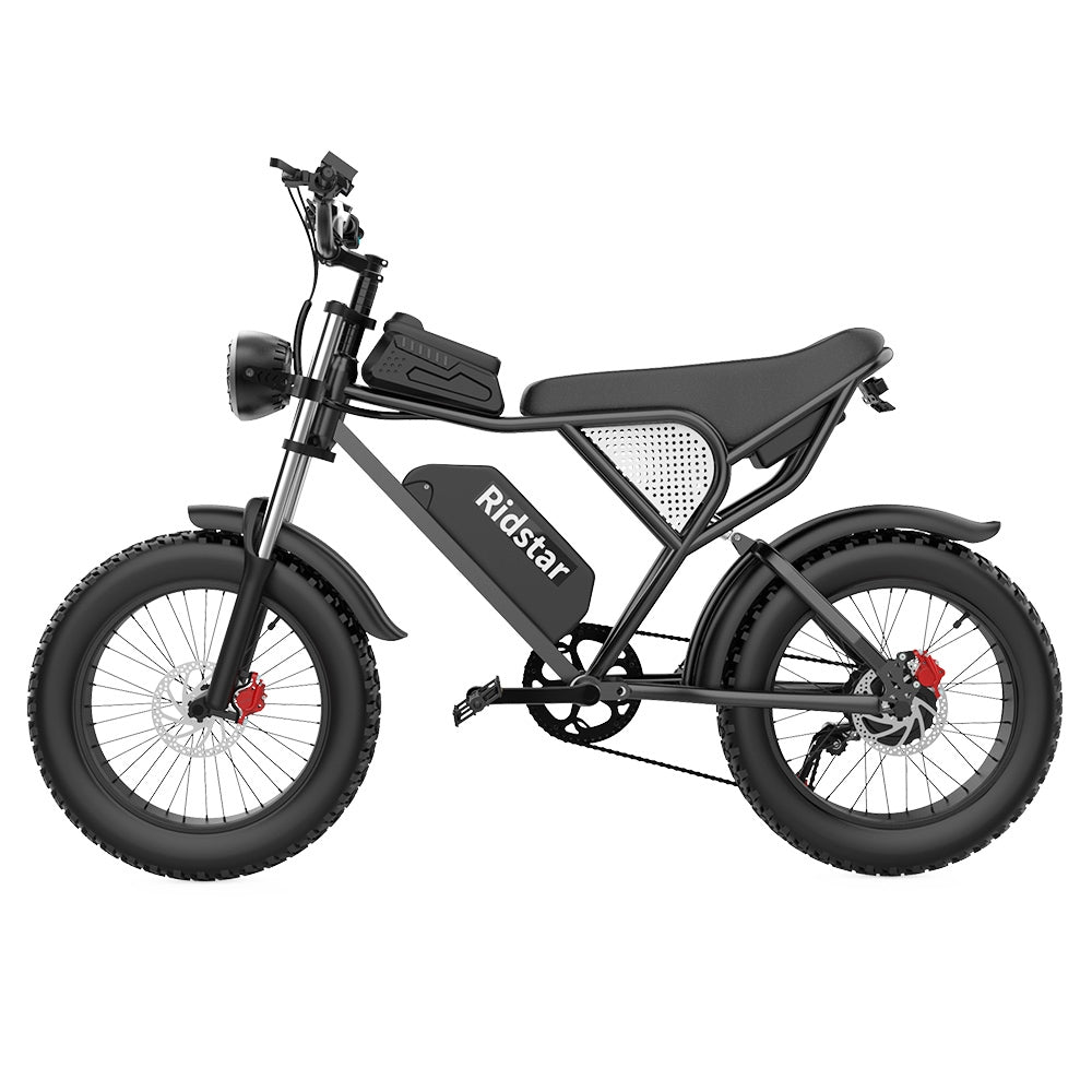 Ridstar Q20 Electric Bike, 1000W Brushless Motor 20*4.0 inch Fat Tires 48V 20Ah Removable Battery 48km/h Max Speed 150kg Max Load 120km Max Range Hydraulic Disc Brake
