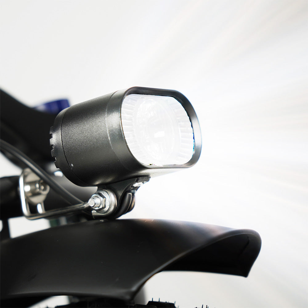 CMACEWHEEL Y20 Folding Electric Bike, 250W Motor, 48V 18Ah Battery, 20 x 4.0&#39;&#39; CST Fat Tires, 25km/h Max Speed, 70-90km Range, Front &amp; Rear Disc Brake, IP65 Waterproof - Black