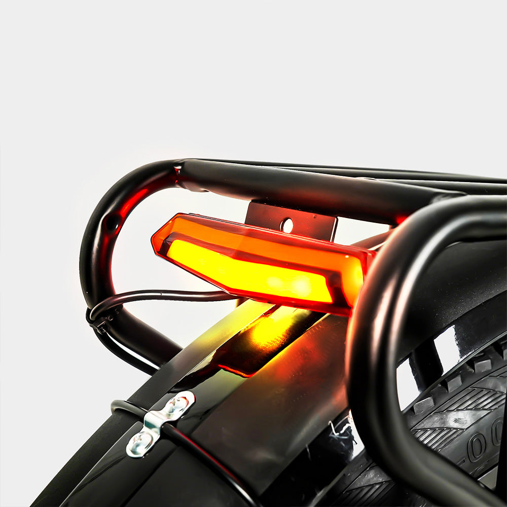 CMACEWHEEL Y20 Folding Electric Bike, 250W Motor, 48V 18Ah Battery, 20 x 4.0&#39;&#39; CST Fat Tires, 25km/h Max Speed, 70-90km Range, Front &amp; Rear Disc Brake, IP65 Waterproof - Black