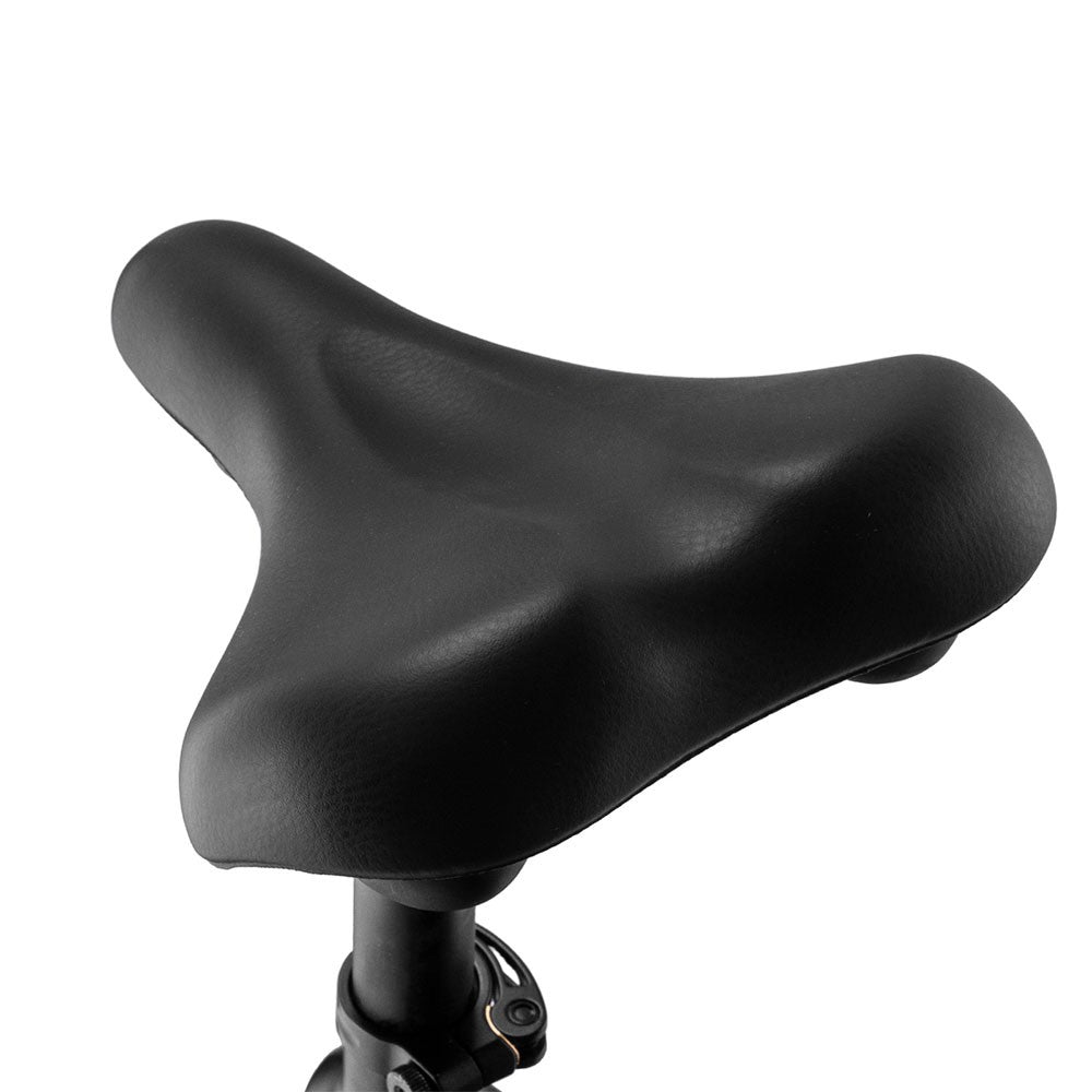 Fafrees F26 Carbon M E-bike 26*4.8 inch Air Tire 1000W Rear Drive 25km/h Max Speed 48V 22.5Ah Battery 120-140km Assist Range