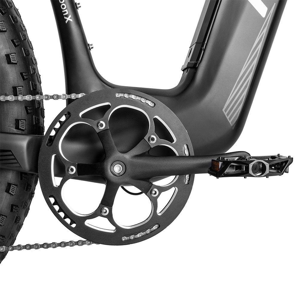 Fafrees F26 Carbon M E-bike 26*4.8 inch Air Tire 1000W Rear Drive 25km/h Max Speed 48V 22.5Ah Battery 120-140km Assist Range