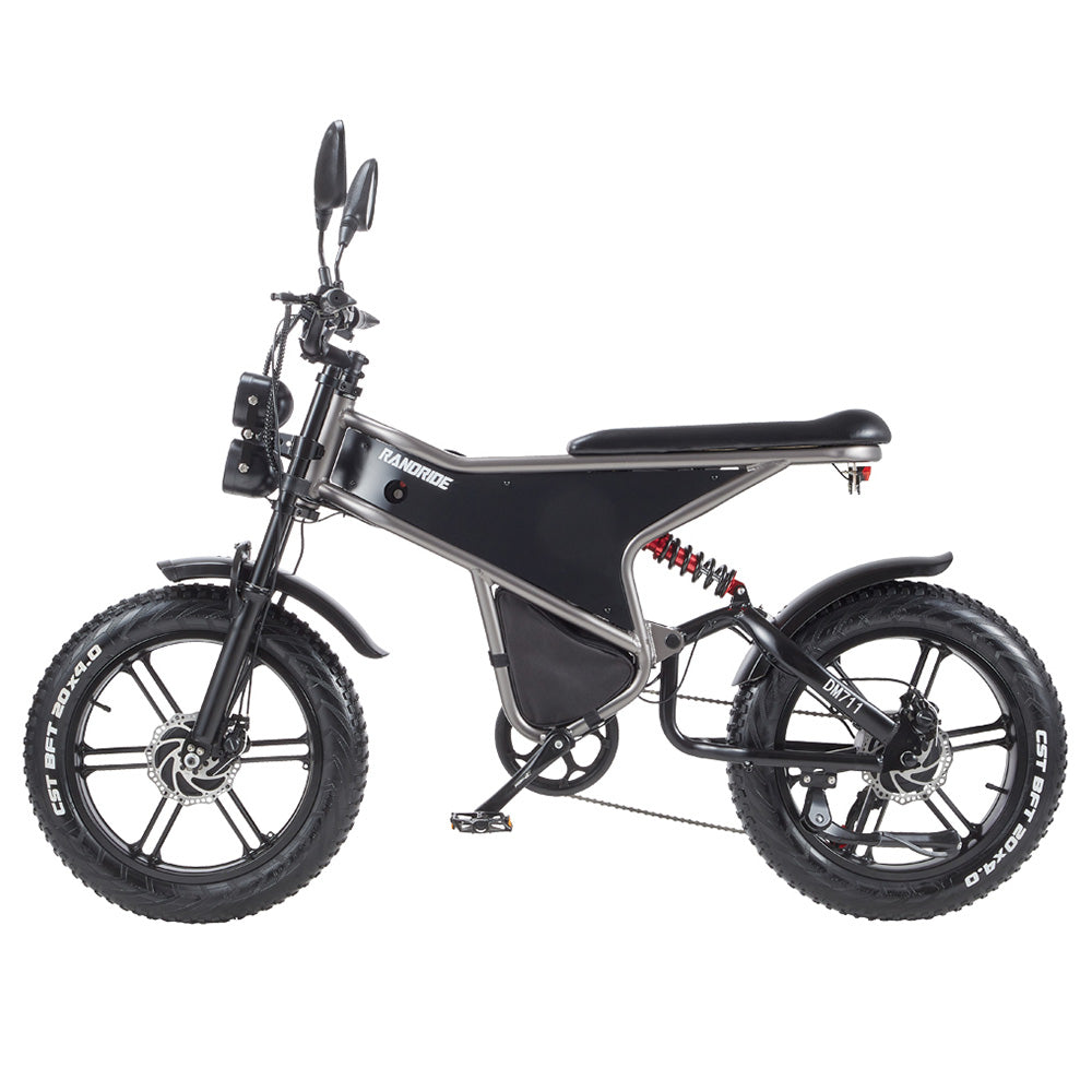 RANDRIDE DM711 Electric Bike, 1000W*2 Motor, 48V 20Ah Battery, 20*4.0 inch Fat Tires, 45km/h Max Speed, 60km Range, Shimano Mechanical Brake, Dual Shock Suspension, LCD Display, 7 Speed