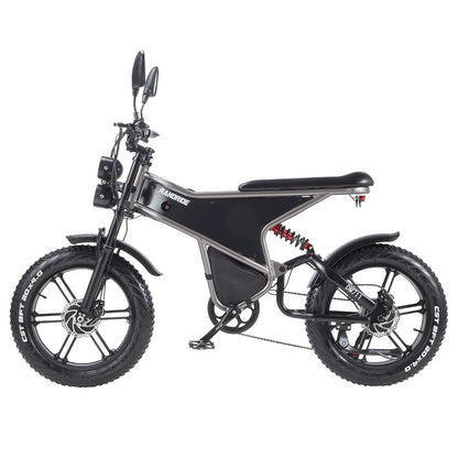 RANDRIDE DM711 Electric Bike, 1000W*2 Motor, 48V 20Ah Battery, 20*4.0 inch Fat Tires, 45km/h Max Speed, 60km Range, Shimano Mechanical Brake, Dual Shock Suspension, LCD Display, 7 Speed