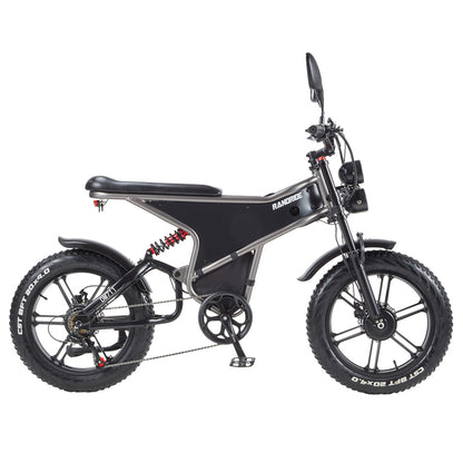 RANDRIDE DM711 Electric Bike, 1000W*2 Motor, 48V 20Ah Battery, 20*4.0 inch Fat Tires, 45km/h Max Speed, 60km Range, Shimano Mechanical Brake, Dual Shock Suspension, LCD Display, 7 Speed