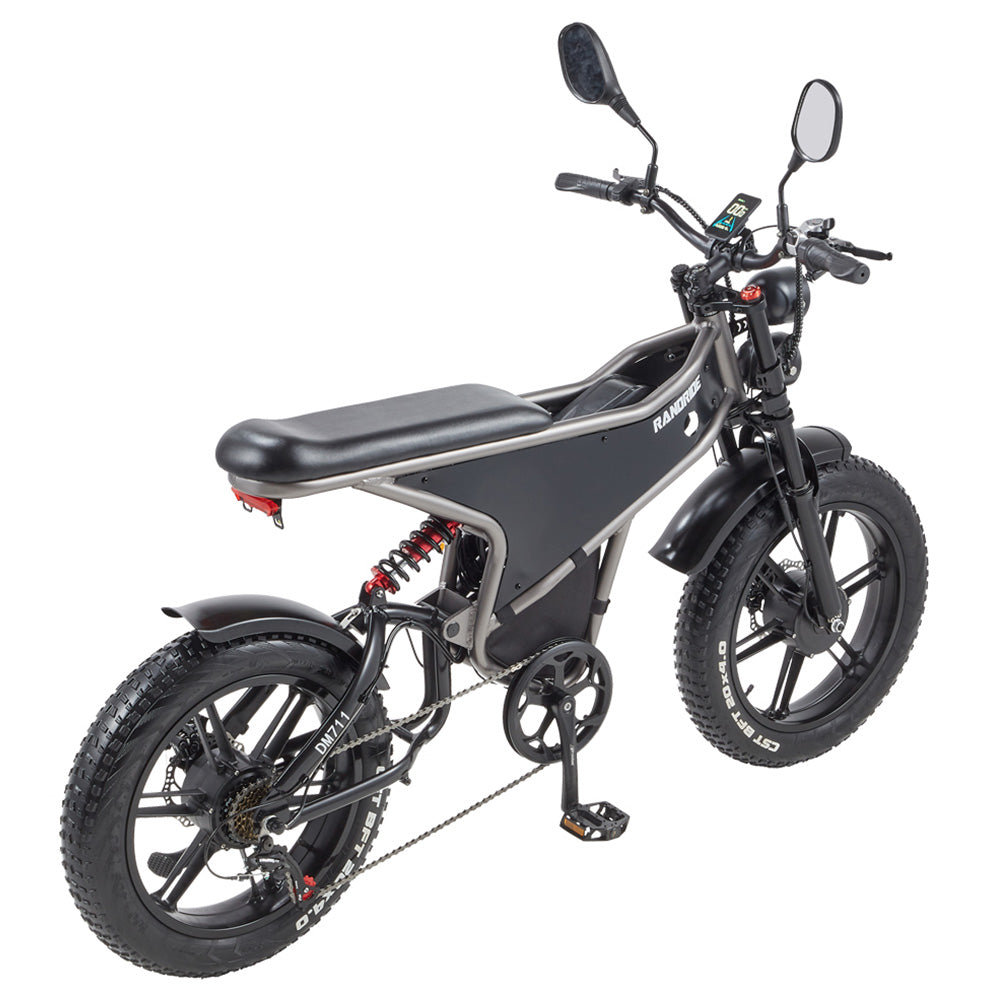 RANDRIDE DM711 Electric Bike, 1000W*2 Motor, 48V 20Ah Battery, 20*4.0 inch Fat Tires, 45km/h Max Speed, 60km Range, Shimano Mechanical Brake, Dual Shock Suspension, LCD Display, 7 Speed