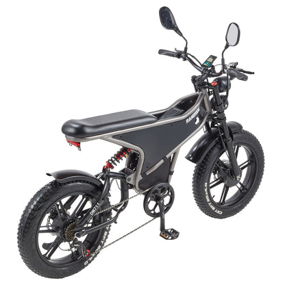 RANDRIDE DM711 Electric Bike, 1000W*2 Motor, 48V 20Ah Battery, 20*4.0 inch Fat Tires, 45km/h Max Speed, 60km Range, Shimano Mechanical Brake, Dual Shock Suspension, LCD Display, 7 Speed