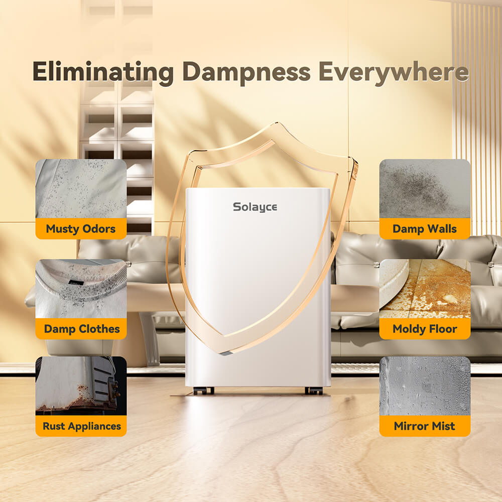 Solayce PD12R-02EE Dehumidifier 12L/24h, 3.2L Large Water Tank, Digital Humidity Display, Coverage Area 35㎡(376 sq. ft), 24H Timer, Ideal for Laundry Drying, Bedroom, Basement, Garage &amp; Kitchen