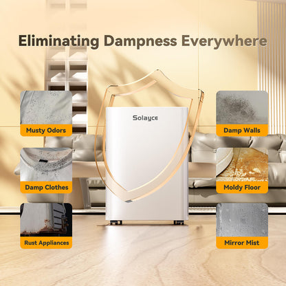 Solayce PD12R-02EE Dehumidifier 12L/24h, 3.2L Large Water Tank, Digital Humidity Display, Coverage Area 35㎡(376 sq. ft), 24H Timer, Ideal for Laundry Drying, Bedroom, Basement, Garage &amp; Kitchen