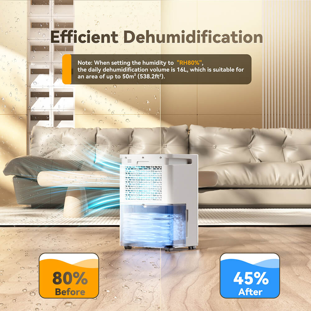 Solayce PD16R-02EE Dehumidifier 16L/24h, 3.2L Large Water Tank, Digital Humidity Display, Coverage Area 50㎡(538 sq. ft), 24H Timer, Ideal for Laundry Drying, Bedroom, Basement, Garage &amp; Kitchen