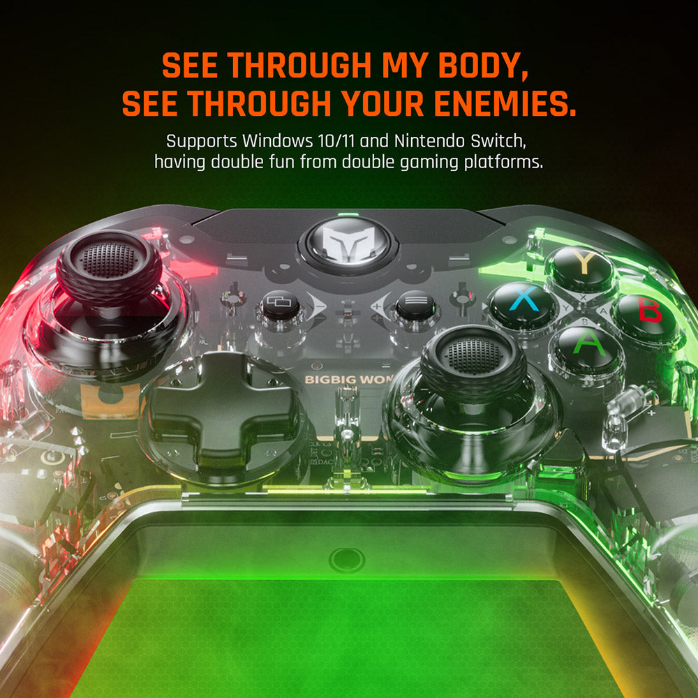 Drátový herní ovladač BIGBIG WON Rainbow Lite, RGB podsvícení, vlastní tlačítka, kompatibilní se Switch / Windows 10 a 11 PC