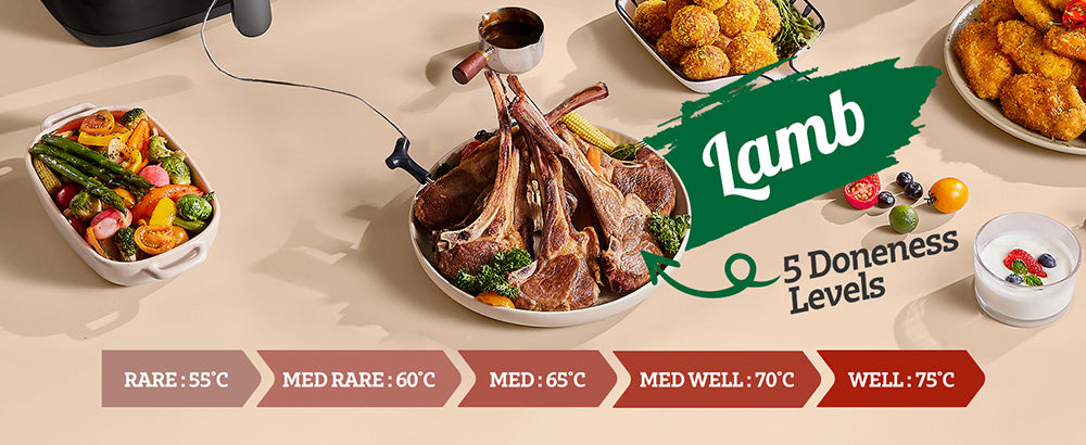 Horkovzdušná fritéza CHEFREE AF500 1700W 6,5L, s inteligentním teploměrem, 8 režimy vaření v 1, rychlý ohřev na 230℃, připomenutí protřepání - černá