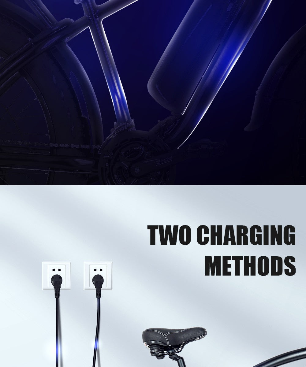 Elektrické kolo CMACEWHEEL M26 26*4,0 palce CST Fat Tire 750W motor 40-45 km/h maximální rychlost 48V 17Ah baterie dojezd 110 km - šedé