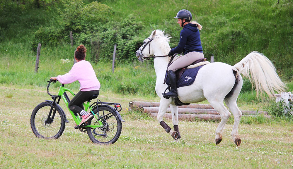 Teenagerské elektrokolo CYSUM Hoody, motor 250 W, baterie 36 V 10 Ah, maximální rychlost 35 km/h, maximální dojezd 55 km, pneumatiky 24 x 2,1 palce, řazení SHIMANO 8 rychlostí, LCD displej, LED světlomety