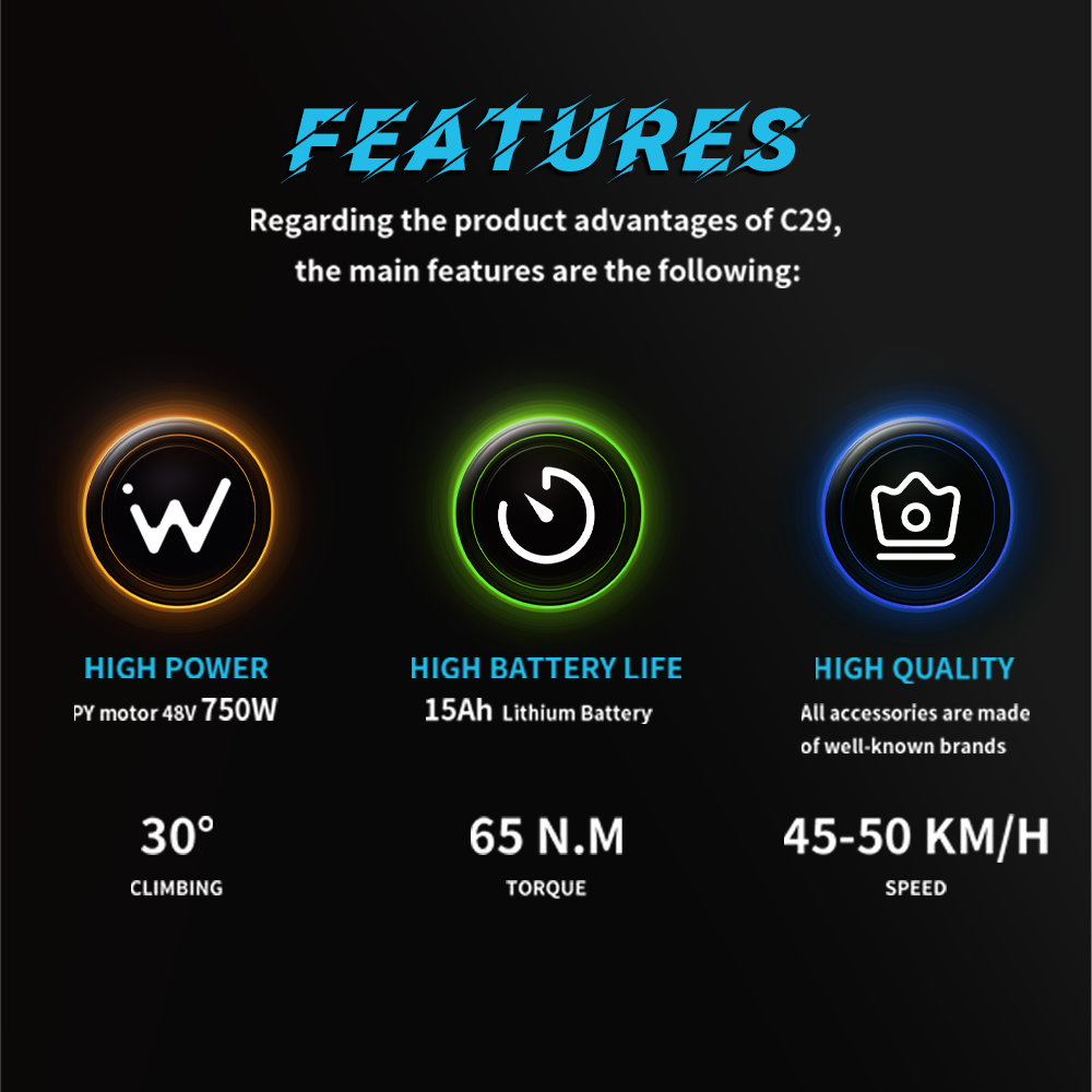 Elektrické kolo DUOTTS C29 750W 29*2,1 palcová kola 48V 15Ah baterie Dojezd 50 km Maximální rychlost 50 km/h Shimano 21 rychlostí Elektrické horské kolo se zadním nosičem IP54 Voděodolné Smart APP - Černé