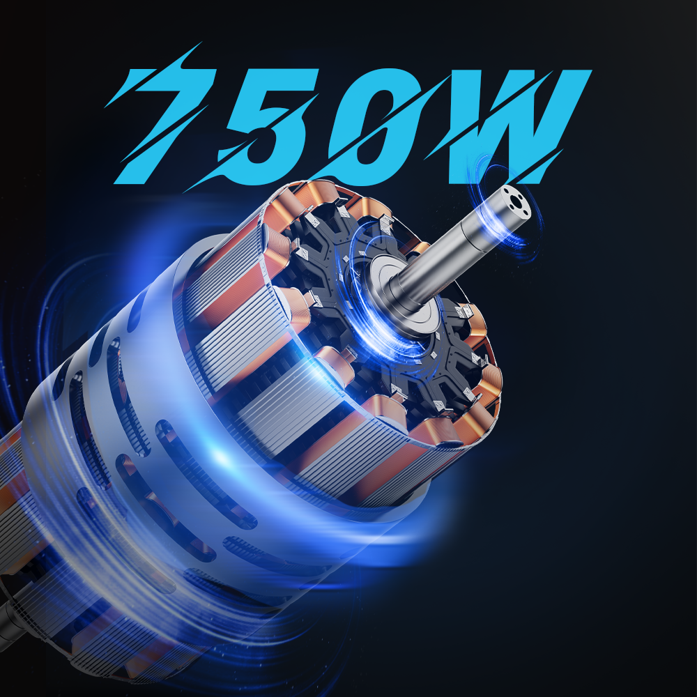 Elektrické kolo DUOTTS C29 750W 29*2,1 palcová kola 48V 15Ah baterie Dojezd 50 km Maximální rychlost 50 km/h Shimano 21 rychlostí Elektrické horské kolo se zadním nosičem IP54 Voděodolné Smart APP - Černé