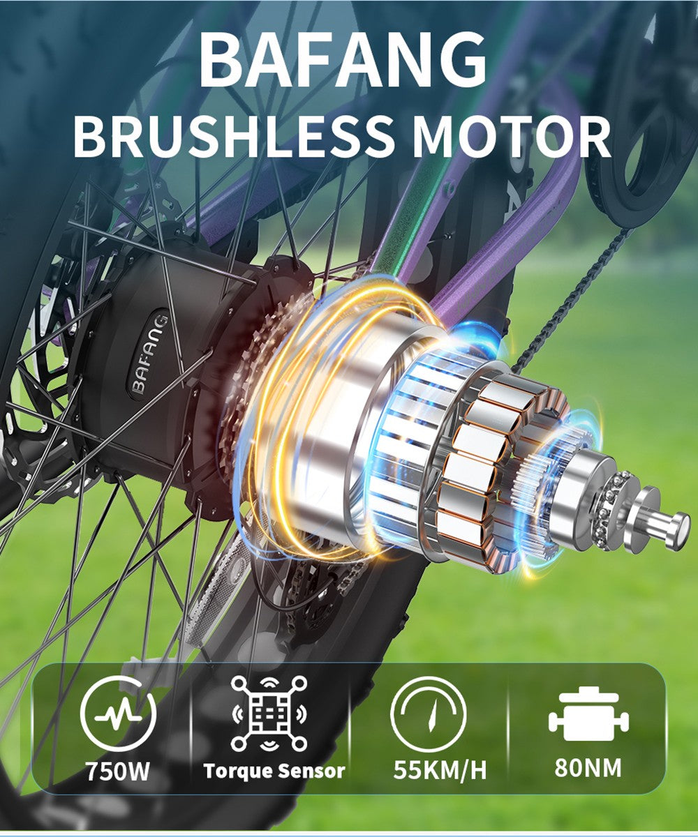 Elektrokolo DUOTTS E26, motor 750 W, baterie 48 V 20 Ah, pneumatiky 26 x 4,0 palce, maximální rychlost 55 km/h, maximální rychlost 120 km, hydraulické kotoučové brzdy, odpružení vpředu a vzadu, řazení Shimano 8 rychlostí - zeleno-fialové