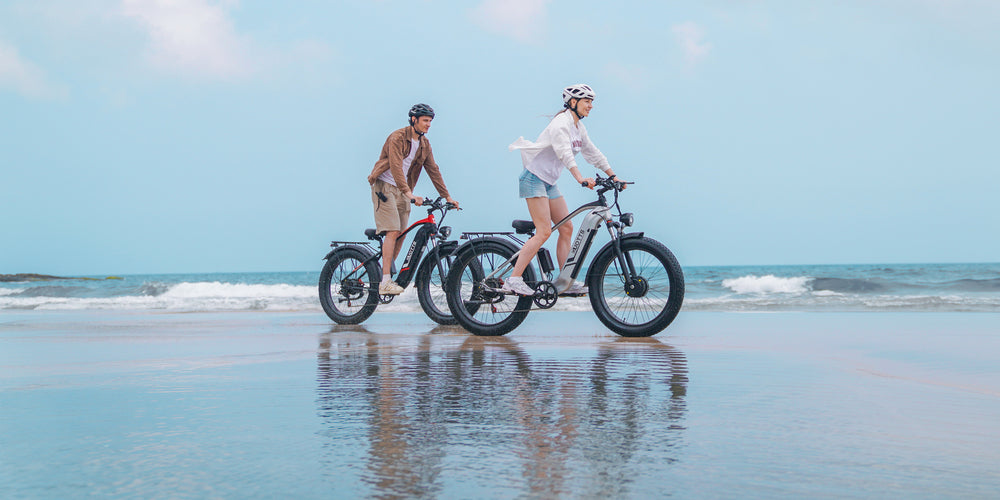 Elektrické horské kolo DUOTTS F26 750W*2 Duální motory Samsung 48V 20Ah Baterie 26*4,0 palcové tlusté pneumatiky Maximální rychlost 55 km/h Stoupání 55 stupňů Inteligentní barevný displej APP Duální kotoučové brzdy Maximální zatížení 150 kg Dojezd 100 km - stříbrné