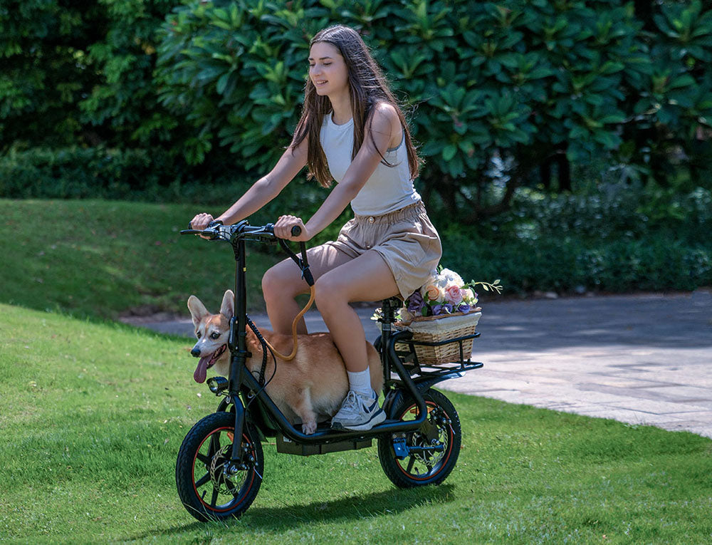 Skládací elektrická koloběžka DYU C4, motor 250 W, baterie 36 V 10 Ah, 14palcové pneumatiky, maximální rychlost 25 km/h, dojezd 42 km, přední a zadní kotoučové brzdy