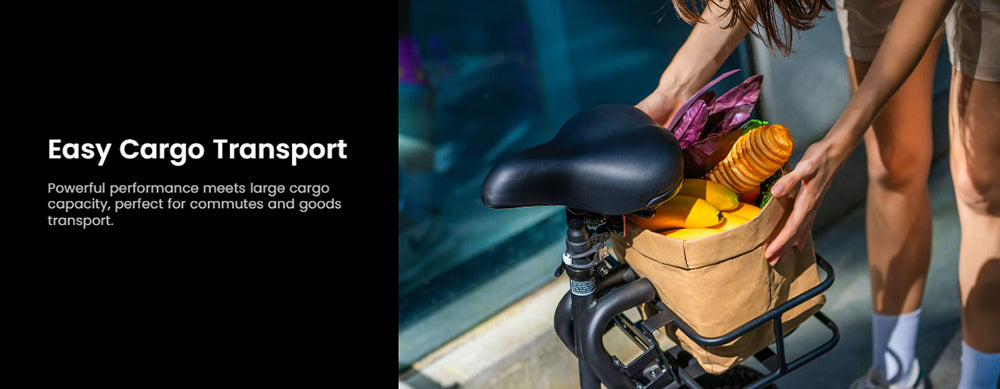 Skládací elektrická koloběžka DYU C4, motor 250 W, baterie 36 V 10 Ah, 14palcové pneumatiky, maximální rychlost 25 km/h, dojezd 42 km, přední a zadní kotoučové brzdy