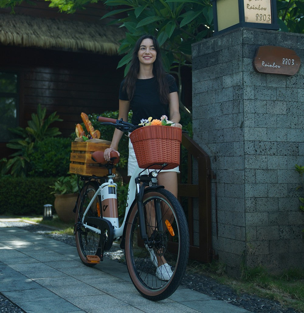 Elektrokolo DYU C6 Pro, motor 250 W, baterie 36 V 15,6 Ah, pneumatiky 26 x 2,125 palce, maximální rychlost 25 km/h, dojezd 80 km, kotoučová brzda, odpružená přední vidlice, řazení Shimano 7 rychlostí, LED displej - bílé