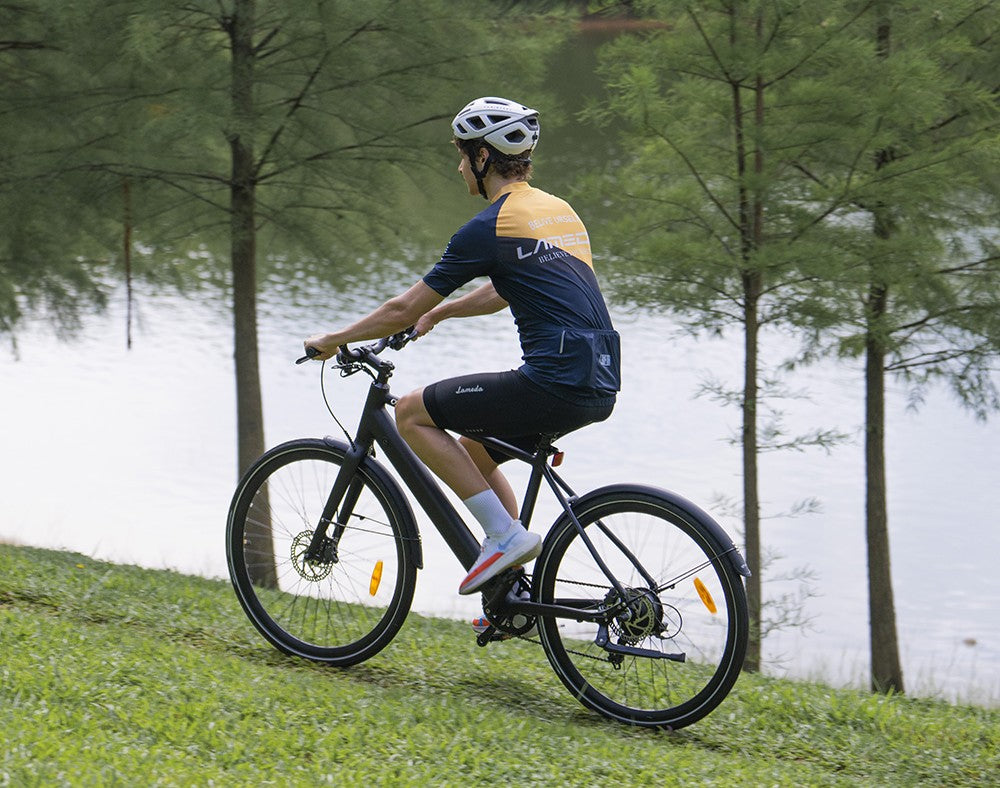 Elektrokolo DYU Stroll 1, motor 250 W, baterie 36 V 9 Ah, pneumatiky CST 700*38C, maximální rychlost 25 km/h, dojezd 100 km, dvojitá hydraulická kotoučová brzda, řazení Shimano 7 rychlostí, LED displej - stříbrné