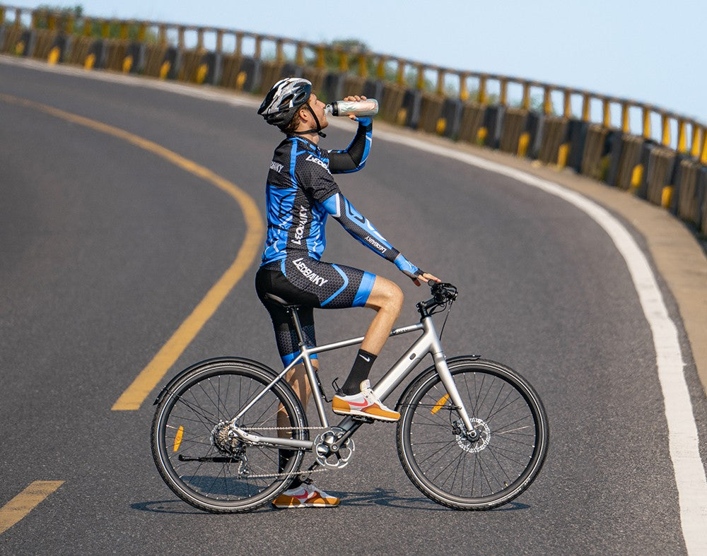 Elektrokolo DYU Stroll 1, motor 250 W, baterie 36 V 9 Ah, pneumatiky CST 700*38C, maximální rychlost 25 km/h, dojezd 100 km, dvojitá hydraulická kotoučová brzda, řazení Shimano 7 rychlostí, LED displej - stříbrné