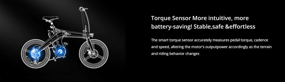 Elektrické kolo DYU T1 20 palců, senzor točivého momentu v pneumatikách, motor 36 V 250 W, maximální rychlost 25 km/h, vyjímatelná baterie 10 Ah, přední a zadní mechanické kotoučové brzdy Shimano 7 rychlostí - zelená