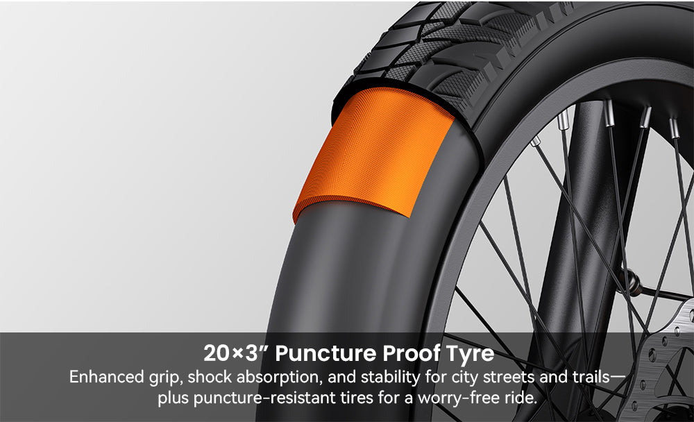 Elektrokolo ENGWE L20 3.0 Boost, motor 250 W, baterie 48 V 13,5 Ah, pneumatiky 20 x 3,0 palce, maximální dojezd 135 km, hydraulické brzdy, celoodpružené, senzor točivého momentu, řazení Shimano 7 rychlostí - Golden