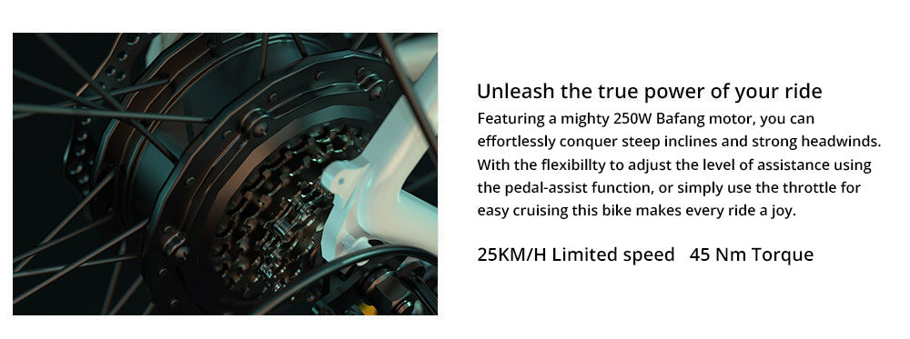 Elektrické kolo ESKUTE Polluno Plus, motor 250 W, baterie 36 V 20 Ah, rozměry 26*1,75 palce, maximální rychlost 25 km/h, dojezd 100 km, mechanické kotoučové brzdy, řazení Shimano 7 rychlostí - bílé