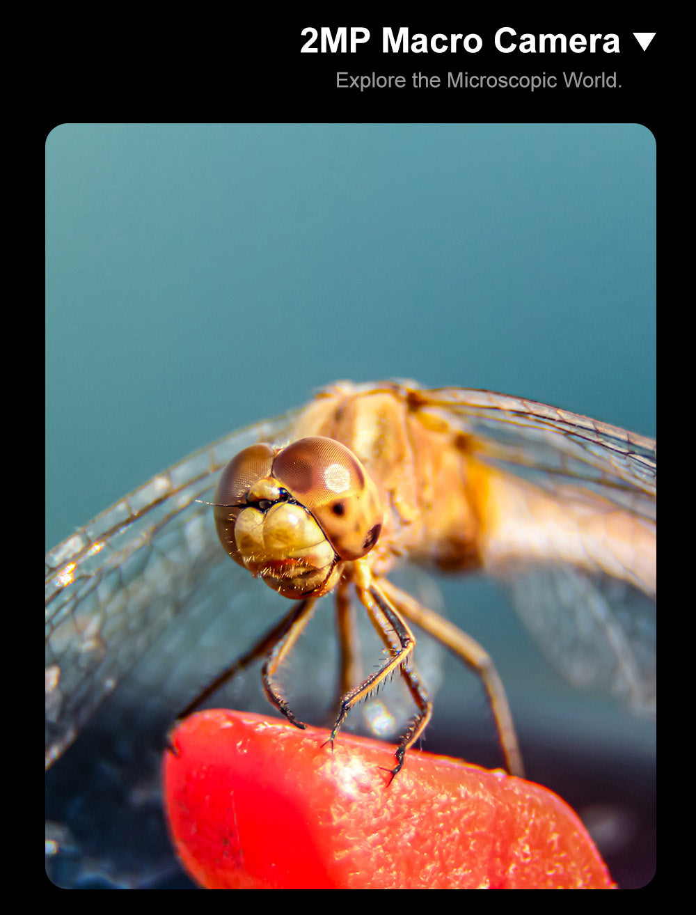 Chytrý telefon FOSSiBOT S3 Pro 4G, 6,67