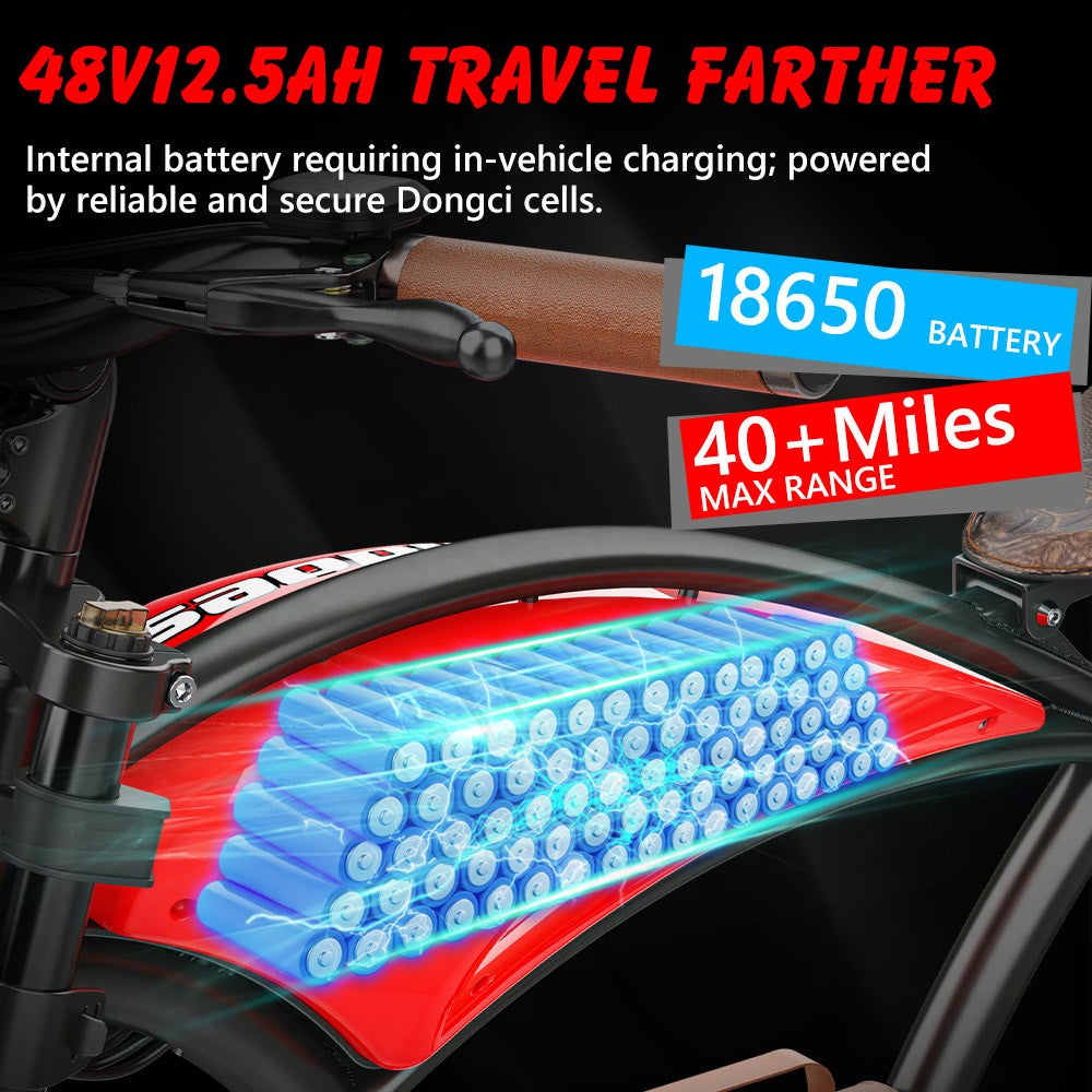 Elektrické kolo Hidoes B10, motor 1000 W, baterie 48 V 13 Ah, 20 x 4