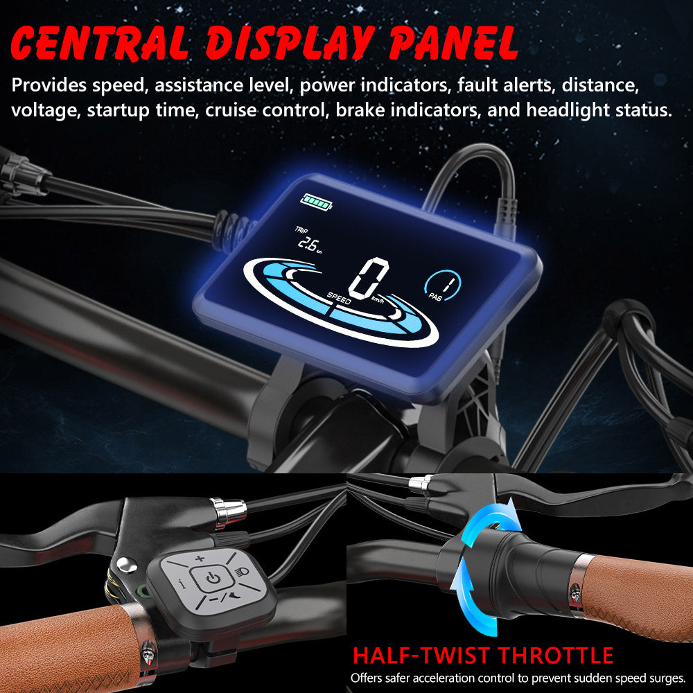 Elektrické kolo Hidoes B10, motor 1000 W, baterie 48 V 13 Ah, 20 x 4