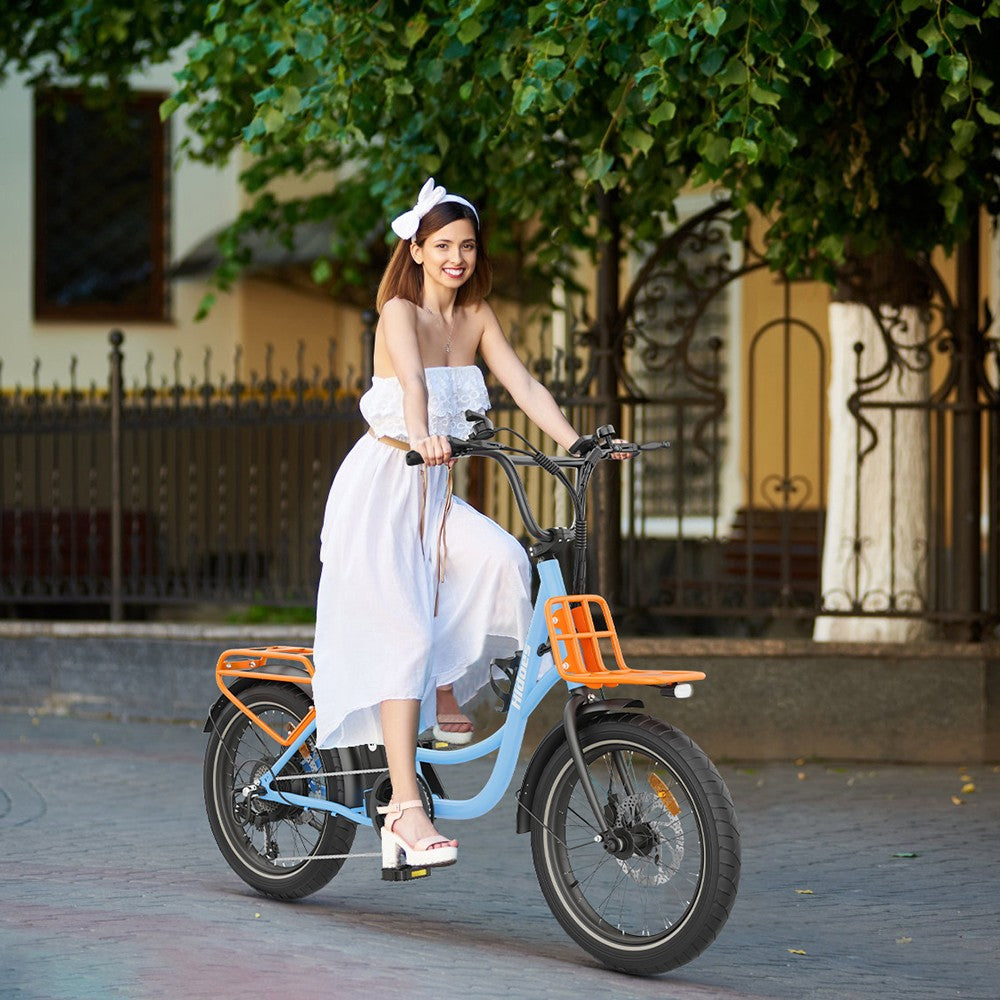 Elektrokolo Hidoes C6, motor 250 W, baterie 36 V 13 Ah, pneumatiky 20 x 3 palce, maximální rychlost 25 km/h, dojezd 35 km, mechanické kotoučové brzdy vpředu a vzadu, řazení Shimano 7 rychlostí, LCD displej