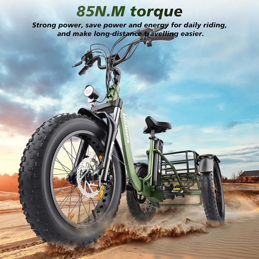 Elektrická tříkolka Hidoes HD-ET1 se zadním nosičem, motor 750 W, baterie 48 V 20 Ah, pneumatiky 20 x 4,0 palce, maximální rychlost 40 km/h, dojezd 65 km, 3 mechanické kotoučové brzdy, odpružená přední vidlice, 7stupňová převodovka