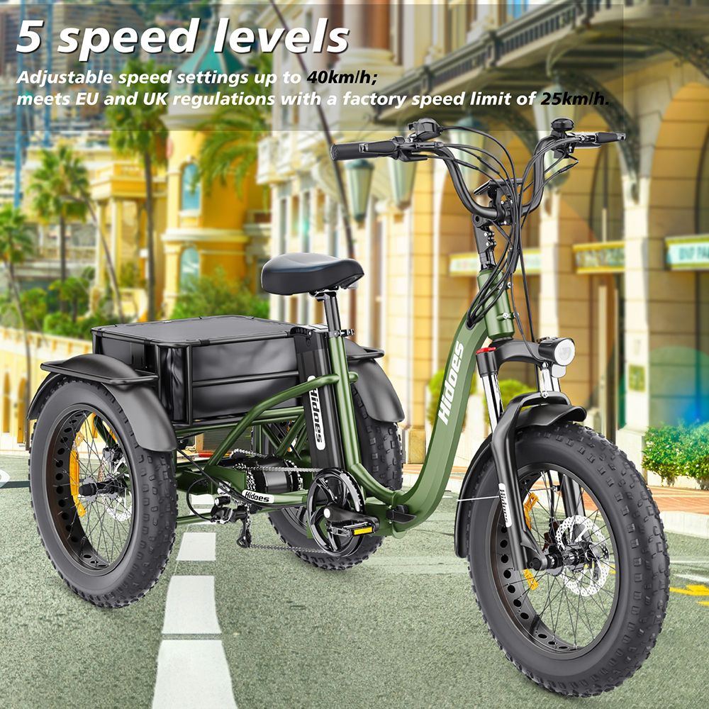 Elektrická tříkolka Hidoes HD-ET1 se zadním nosičem, motor 750 W, baterie 48 V 20 Ah, pneumatiky 20 x 4,0 palce, maximální rychlost 40 km/h, dojezd 65 km, 3 mechanické kotoučové brzdy, odpružená přední vidlice, 7stupňová převodovka