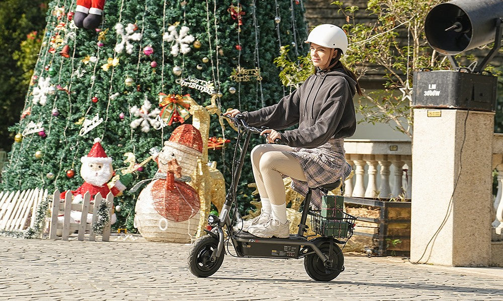 Elektrická koloběžka iScooter F3 se sedadlem a zadním košíkem, motor 1000 W, baterie 48 V 13 Ah, 10palcová pneumatika, maximální rychlost 45 km/h, dojezd 60 km, přední a zadní bubnová brzda, maximální zatížení 120 kg