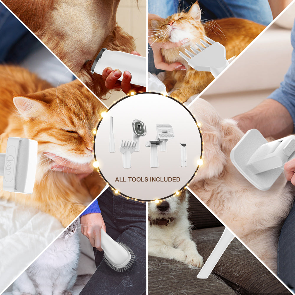 JIGOO P300 11v1 sada vysavačů pro péči o domácí mazlíčky, 3 rychlostní režimy, 4l nádobka na prach, 4 vodicí hřebeny, nízká hlučnost - americká zástrčka