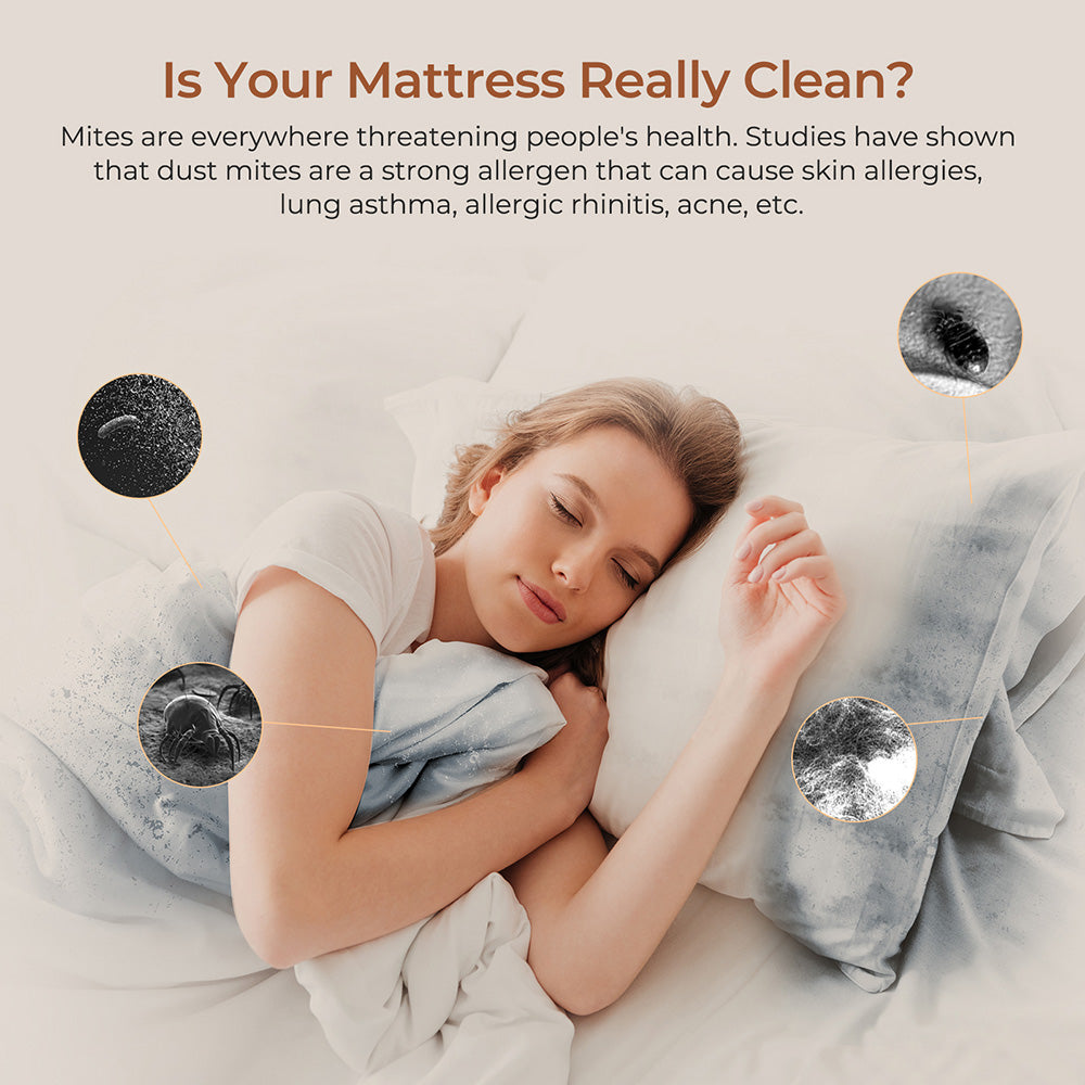 JIGOO T600 Dvou-Cup Inteligentní Vysavač na Roztoče s Aroma-Difuzérem, 700W 15KPa Sání, Senzor Roztočů, UV Světlo, Ultrazvuková Technologie, Odstranění 99,99% Roztočů, Zástrčka EU - Šedá