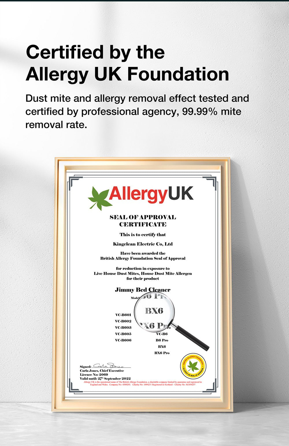 Ruční vysavač proti roztočům Jimmy BX6 600 W, rozšířený sací otvor 240 mm, UV lampa a ultrazvuková technologie - modrý