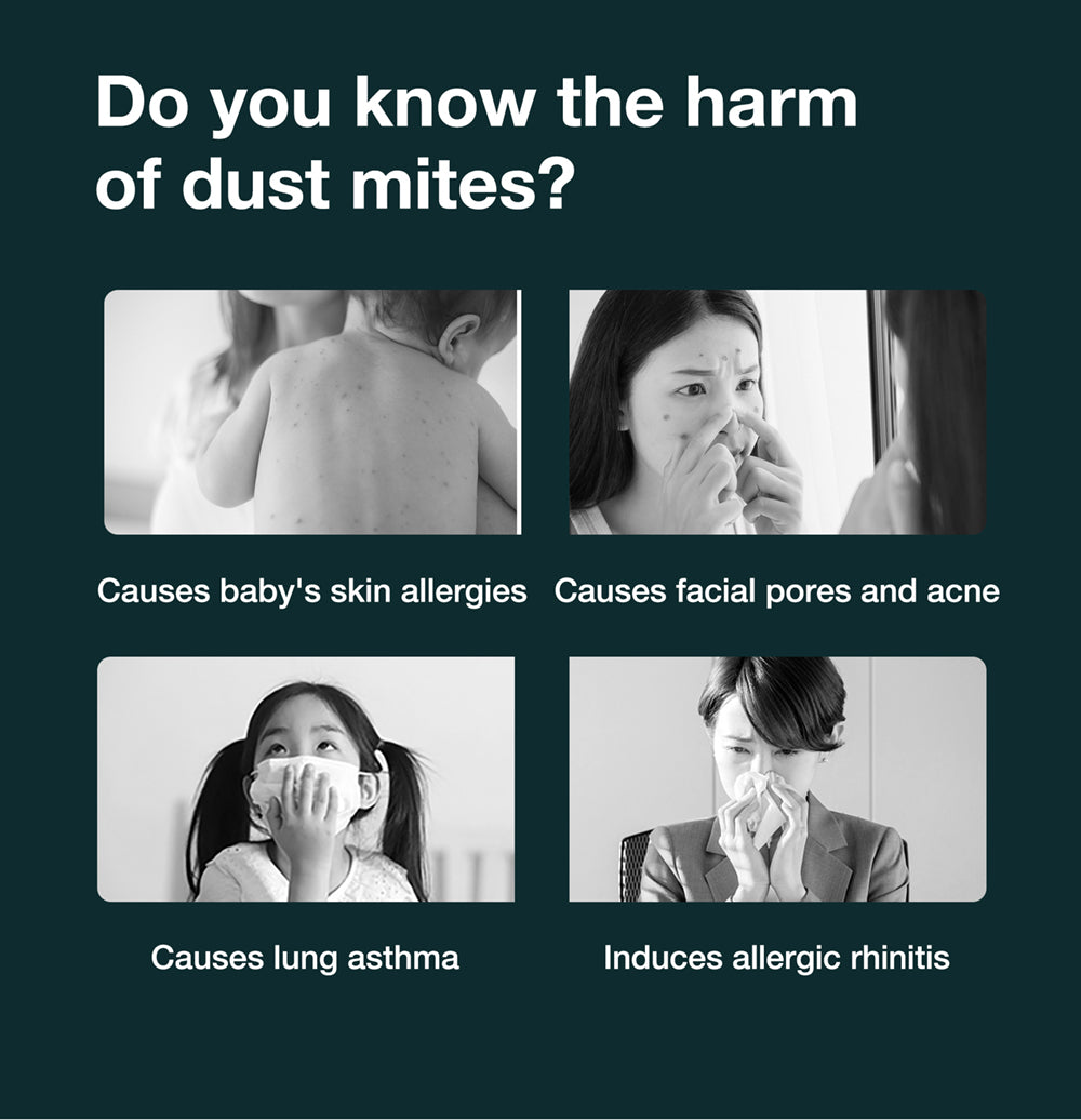 Ruční vysavač proti roztočům Jimmy BX6 600 W, rozšířený sací otvor 240 mm, UV lampa a ultrazvuková technologie - modrý