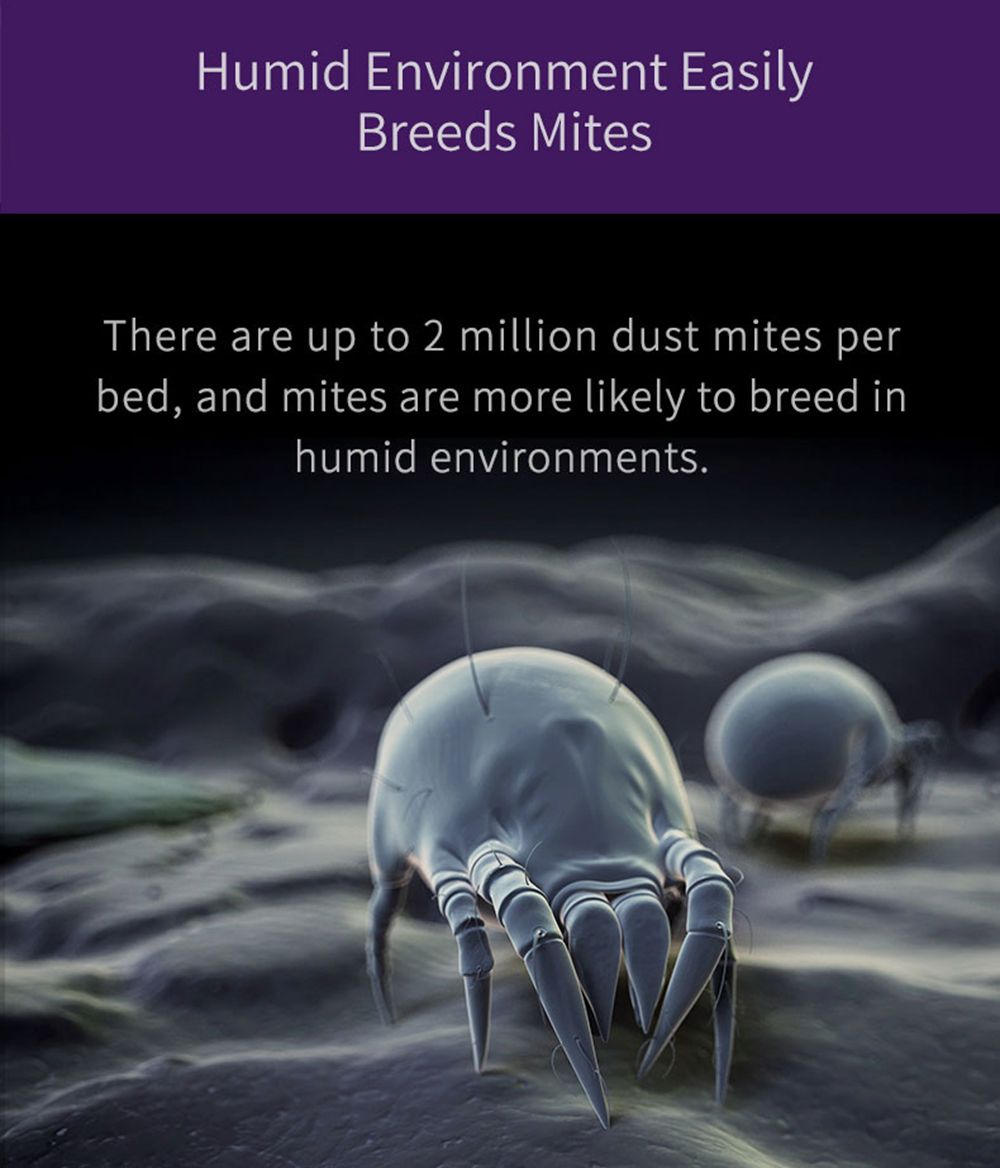 JIMMY JV35 Vysavač proti roztočům UV akaricid 700 W Výkon 14 kPa Silné sací výkon Mezinárodní verze - šedý