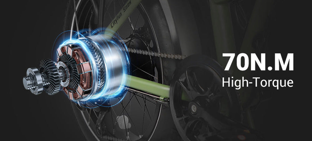 Elektrokolo LAIFOOK Cityfun, bezkartáčový motor 250 W, baterie 48 V 10,4 Ah, tlusté pneumatiky 20 x 4,0 palce, maximální rychlost 25 km/h, dojezd 70 km, hydraulické přední odpružení, mechanická kotoučová brzda, Shimano 7 rychlostí, LCD displej - černé