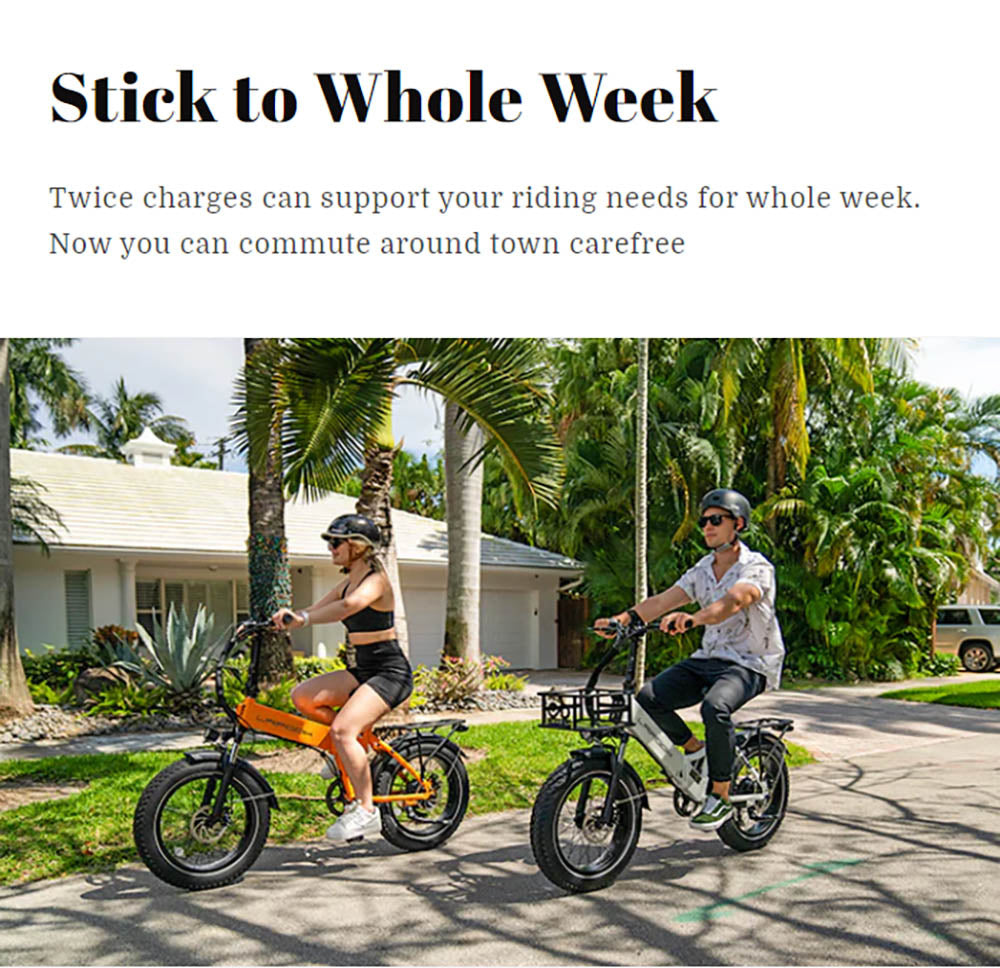 Elektrokolo LAIFOOK Cityfun, bezkartáčový motor 250 W, baterie 48 V 10,4 Ah, tlusté pneumatiky 20 x 4,0 palce, maximální rychlost 25 km/h, dojezd 70 km, hydraulické přední odpružení, mechanická kotoučová brzda, Shimano 7 rychlostí, LCD displej - černé